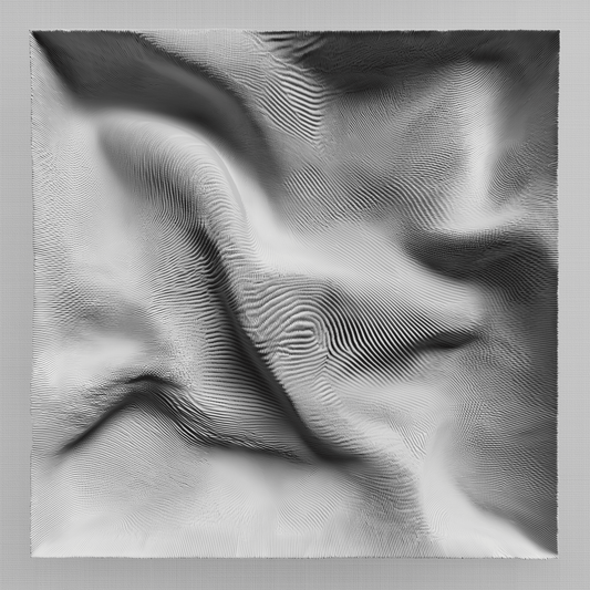Silent Frequency - Noir Moth Contemporary Monochrome Artwork